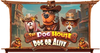 The Dog House - Dog or Alive - обложка слота от Pragmatic Play