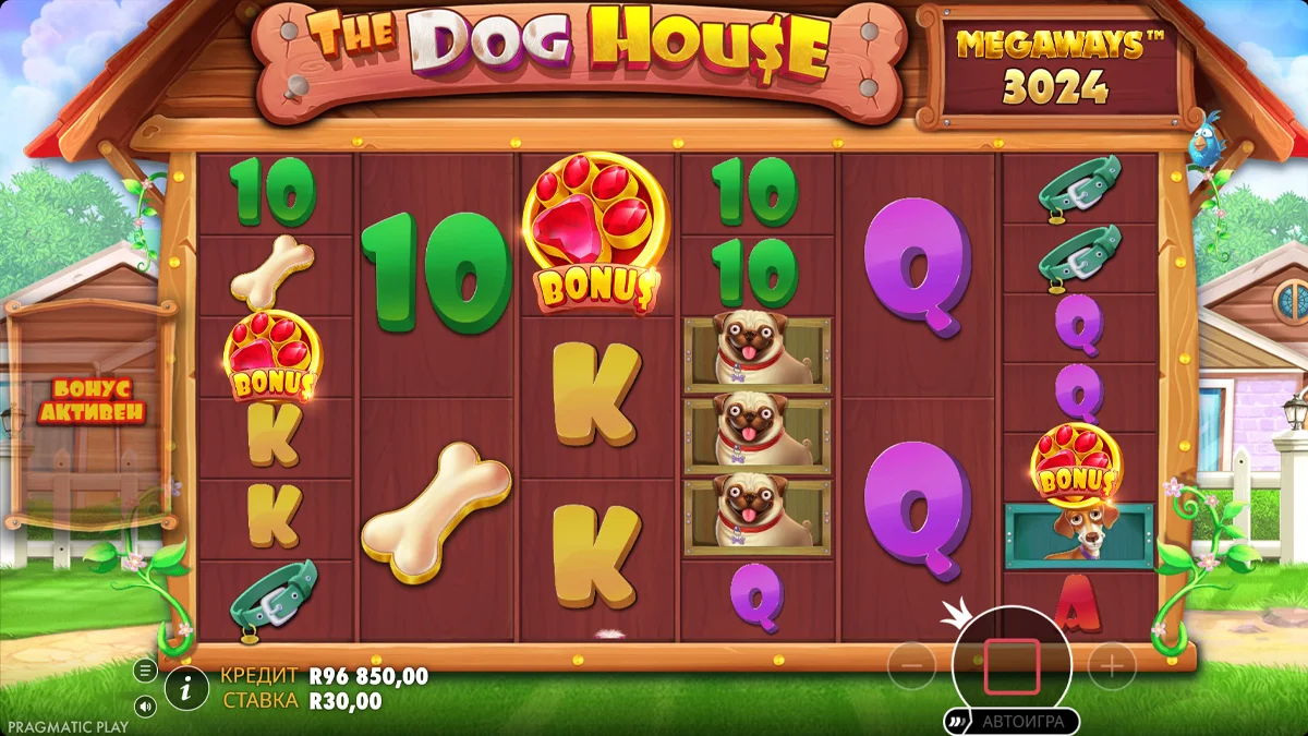 The Dog House Megaways крупный выигрыш с множителем x9